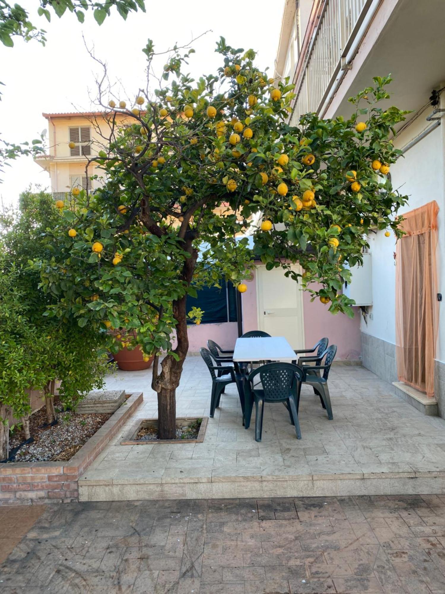 L'Albero Di Limoni Sul Mare Di Pizzo Villa Екстериор снимка