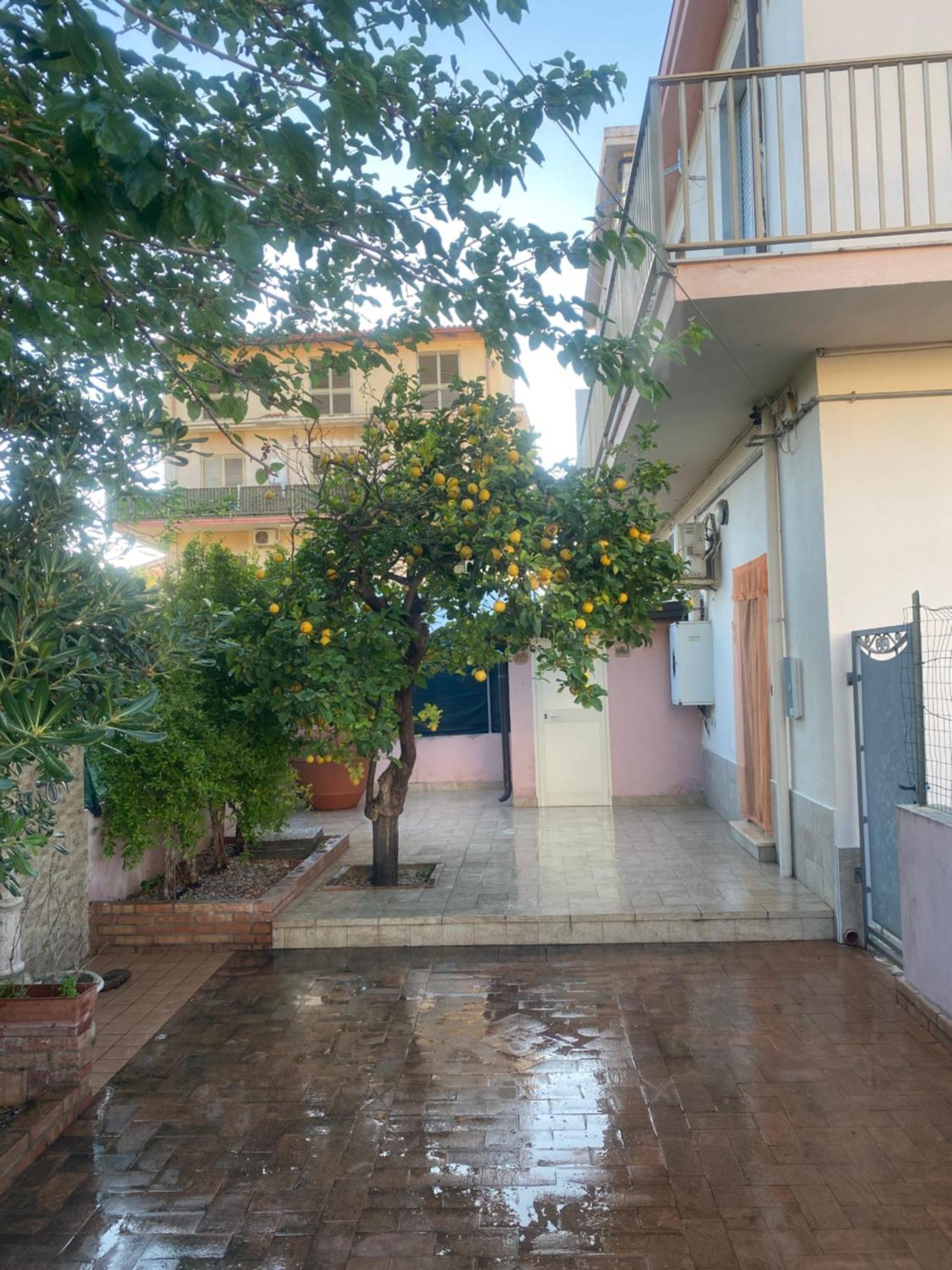 L'Albero Di Limoni Sul Mare Di Pizzo Villa Екстериор снимка