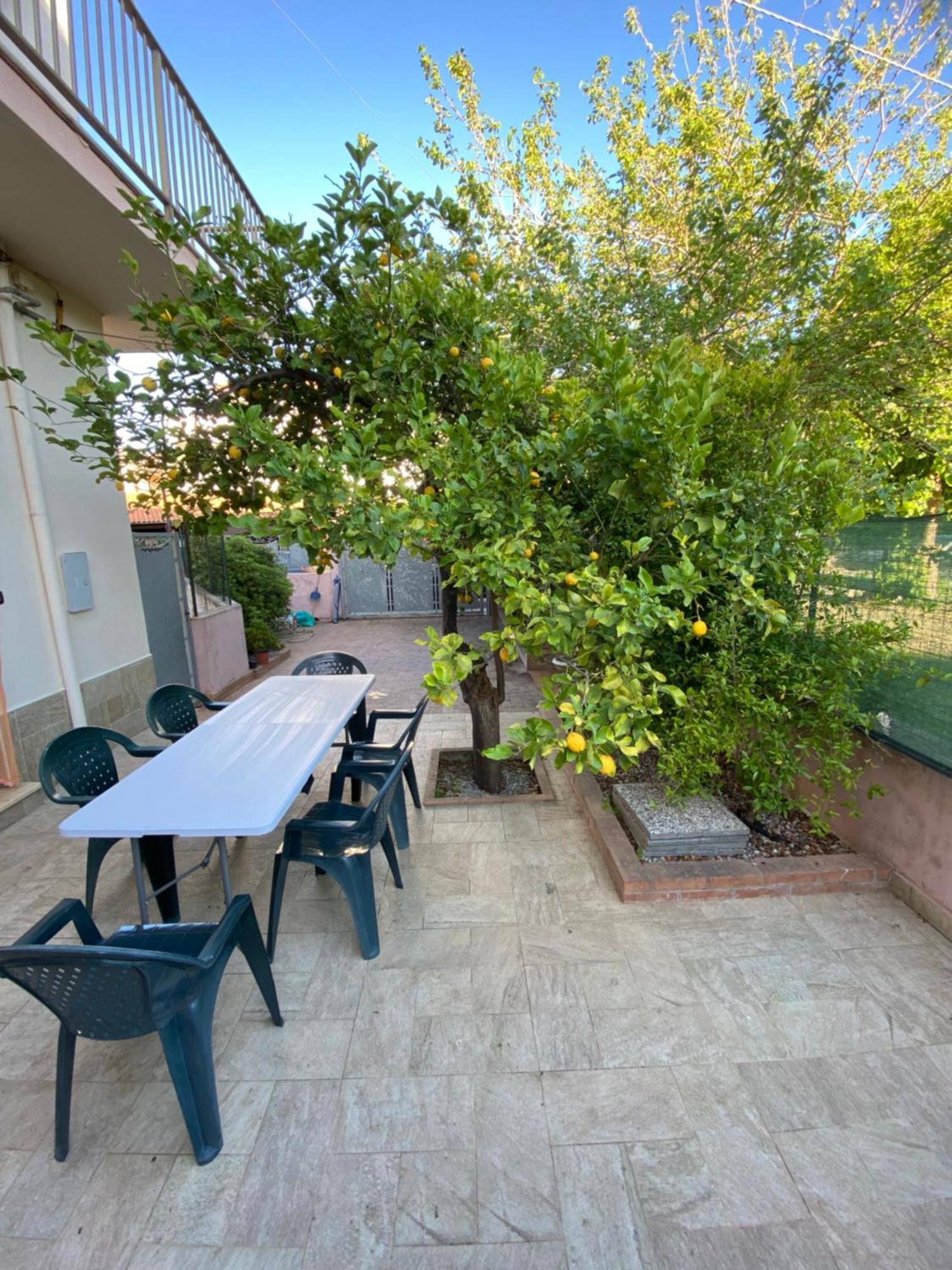 L'Albero Di Limoni Sul Mare Di Pizzo Villa Екстериор снимка